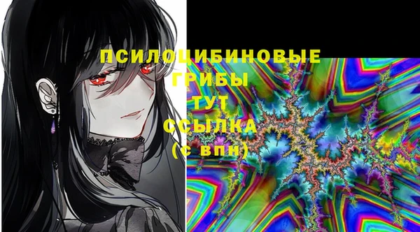 МДМА Гусев