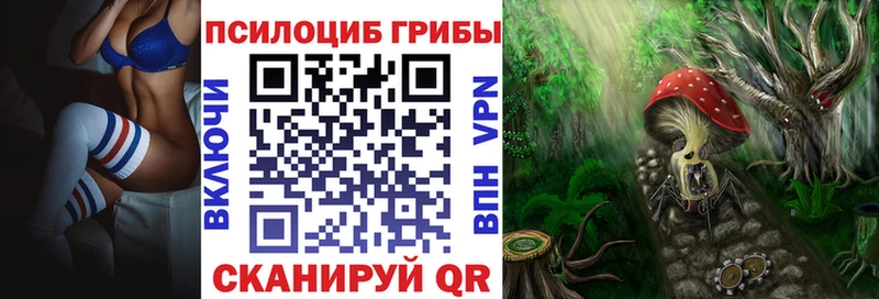 Псилоцибиновые грибы GOLDEN TEACHER  Купить закладки  Кондрово 